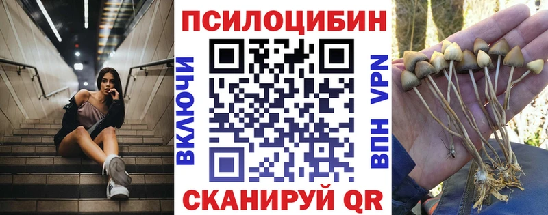 Псилоцибиновые грибы MAGIC MUSHROOMS купить наркоту Салаир